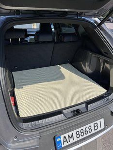 EVA ЄВА килимок в багажник BYD Song Plus 2078079976 фото